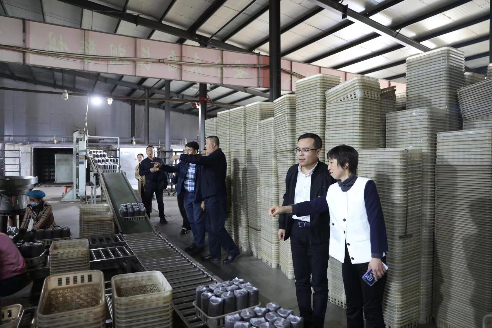 【主题教育】365英国上市网站官网深入拜泉县开展调查研究